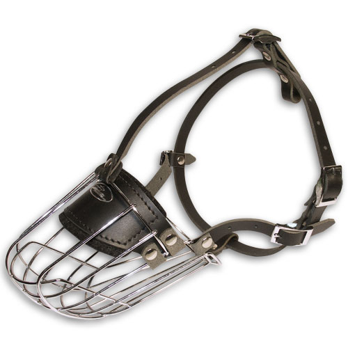 Wire basket dog muzzle